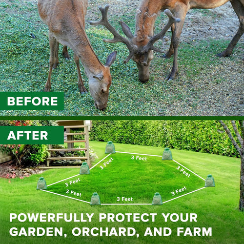 Natural Deer Repellent Pouches: Rabbit Repellent Outdoor - Safely Repel Deer and Rabbit - Protect Your Plants in Garden - 10 Powerful Pack, Green